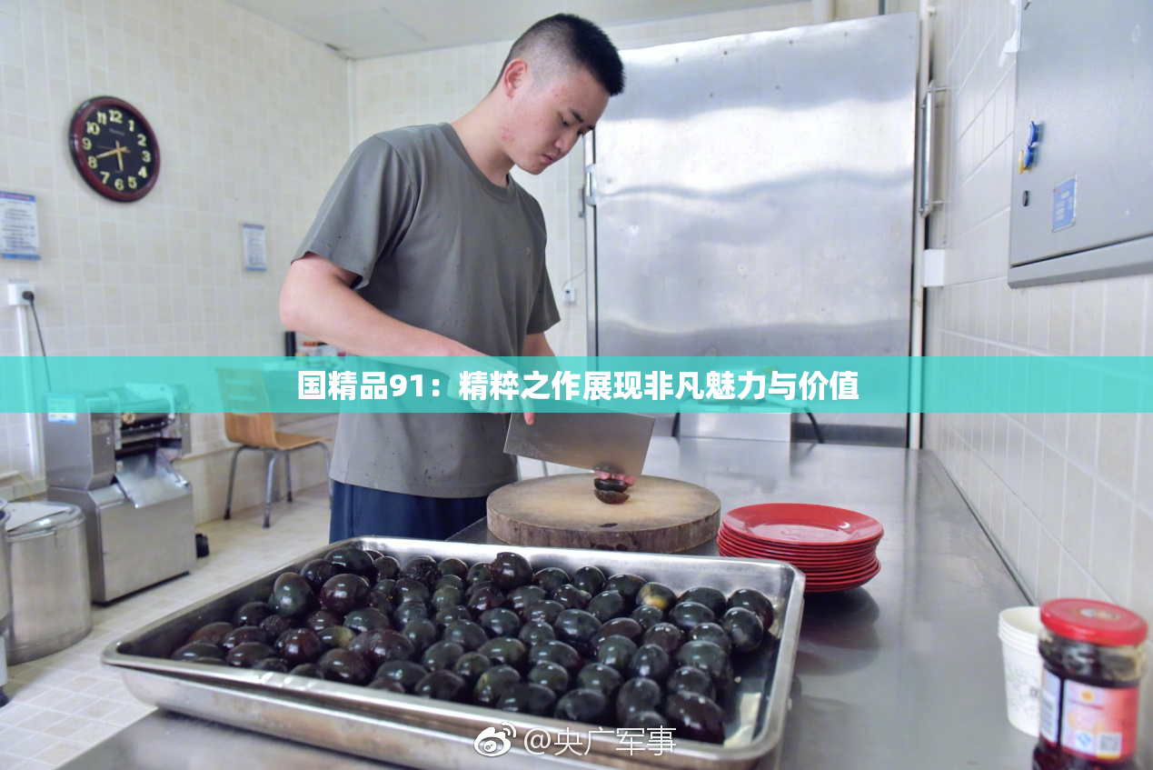 国精品91：精粹之作展现非凡魅力与价值