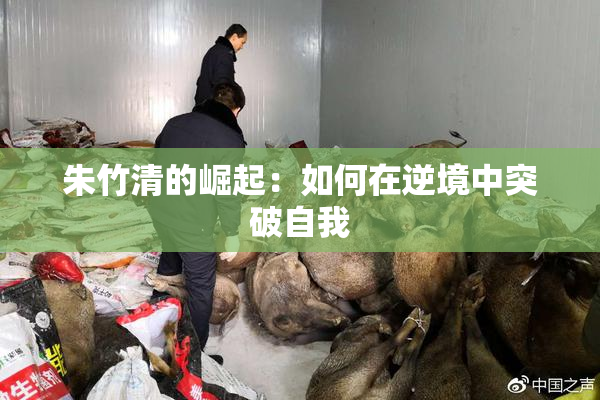 朱竹清的崛起：如何在逆境中突破自我