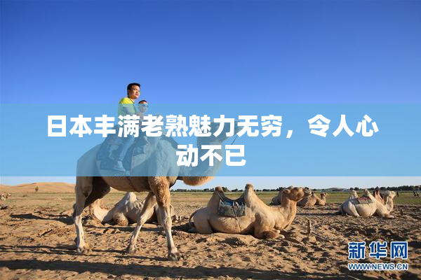 日本丰满老熟魅力无穷，令人心动不已
