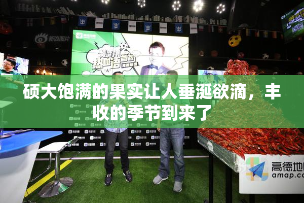 硕大饱满的果实让人垂涎欲滴，丰收的季节到来了