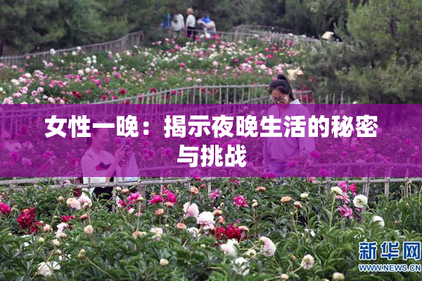 女性一晚：揭示夜晚生活的秘密与挑战