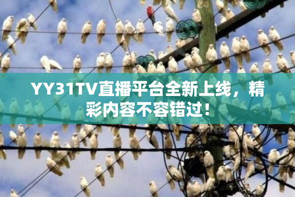 YY31TV直播平台全新上线，精彩内容不容错过！