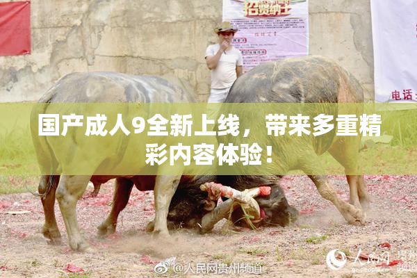 国产成人9全新上线，带来多重精彩内容体验！
