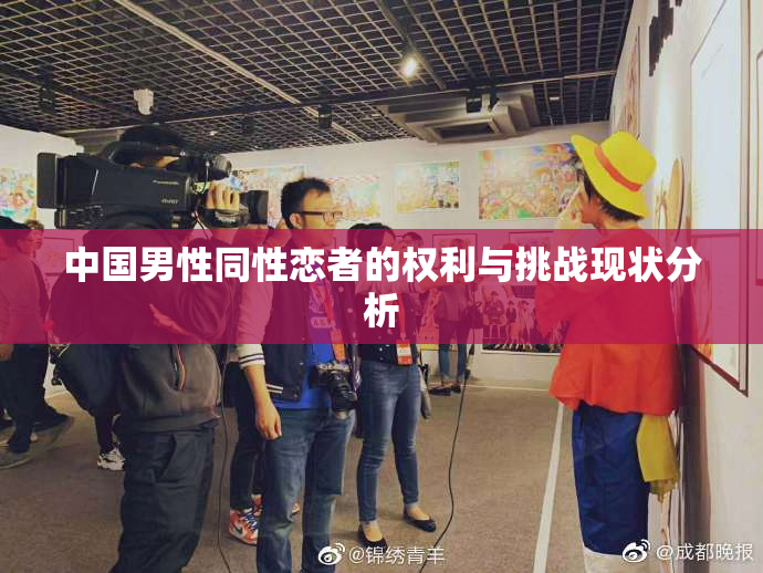 中国男性同性恋者的权利与挑战现状分析
