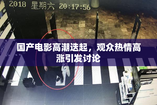 国产电影高潮迭起，观众热情高涨引发讨论