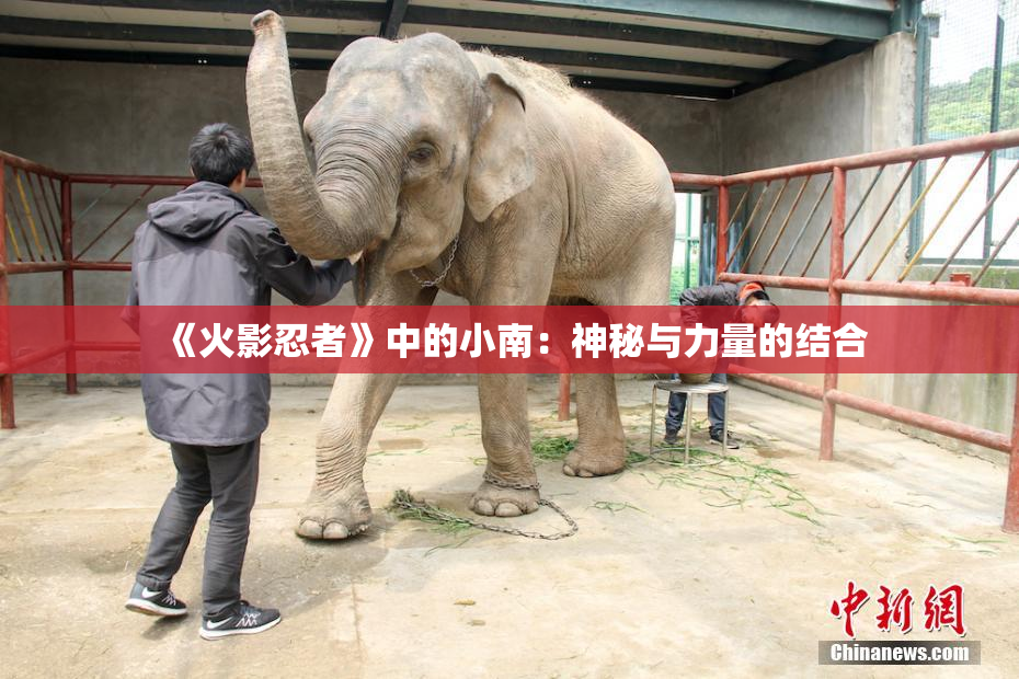 《火影忍者》中的小南：神秘与力量的结合