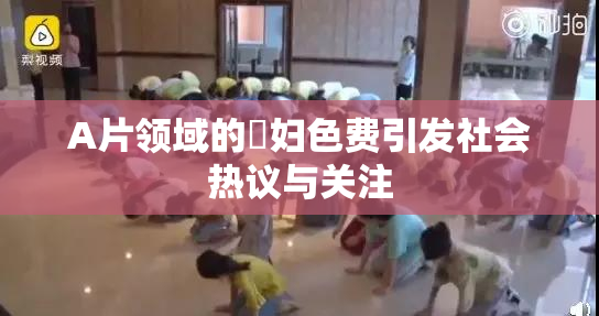 A片领域的婬妇色费引发社会热议与关注