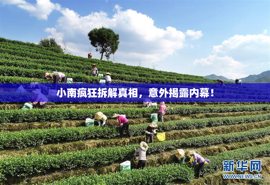 小南疯狂拆解真相，意外揭露内幕！