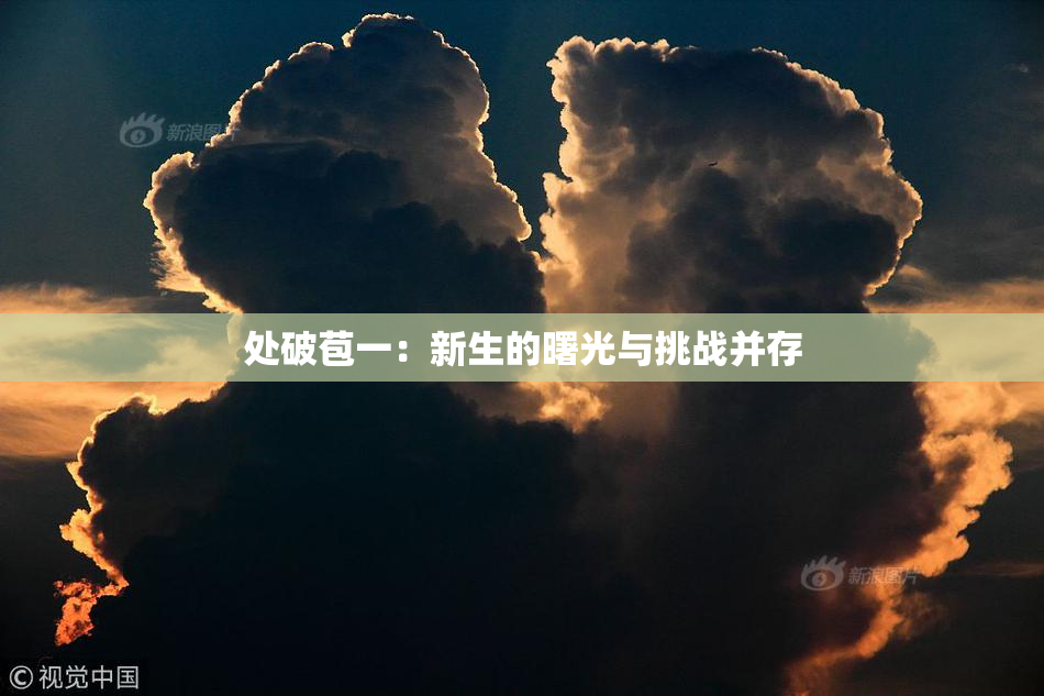处破苞一：新生的曙光与挑战并存