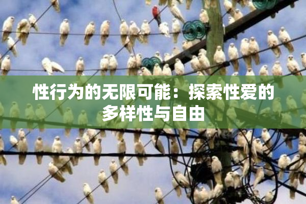 性行为的无限可能：探索性爱的多样性与自由