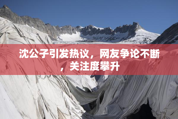 沈公子引发热议，网友争论不断，关注度攀升