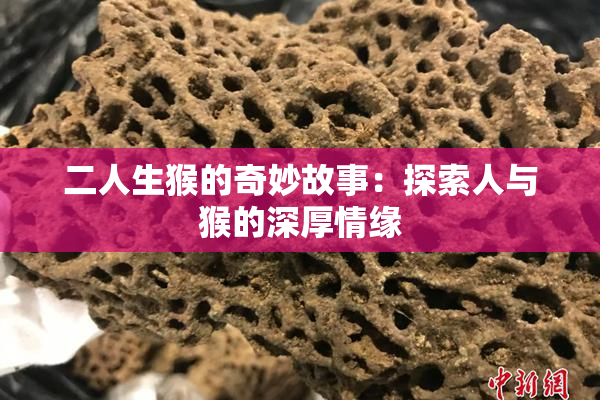 二人生猴的奇妙故事：探索人与猴的深厚情缘
