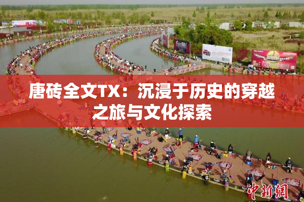 唐砖全文TX：沉浸于历史的穿越之旅与文化探索
