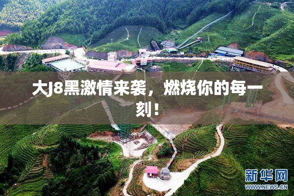 大J8黑激情来袭，燃烧你的每一刻！