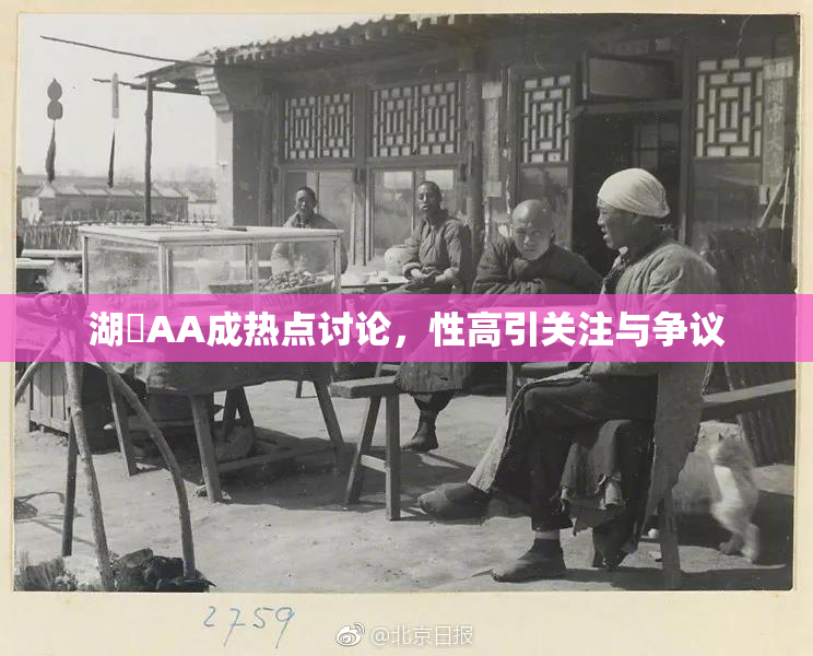 湖婬AA成热点讨论，性高引关注与争议