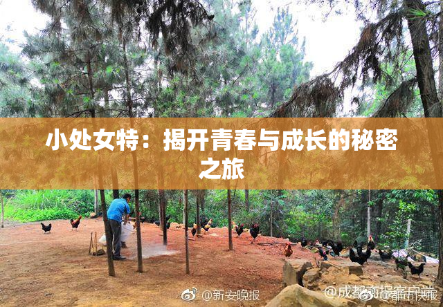 小处女特：揭开青春与成长的秘密之旅