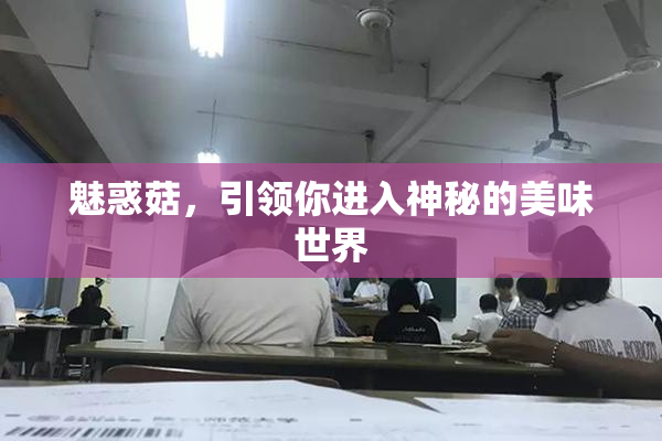 魅惑菇，引领你进入神秘的美味世界