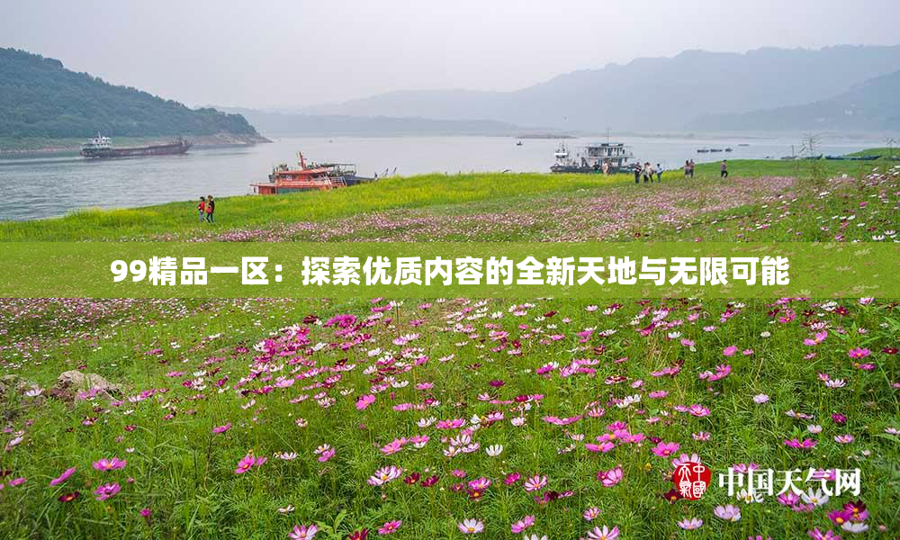 99精品一区：探索优质内容的全新天地与无限可能