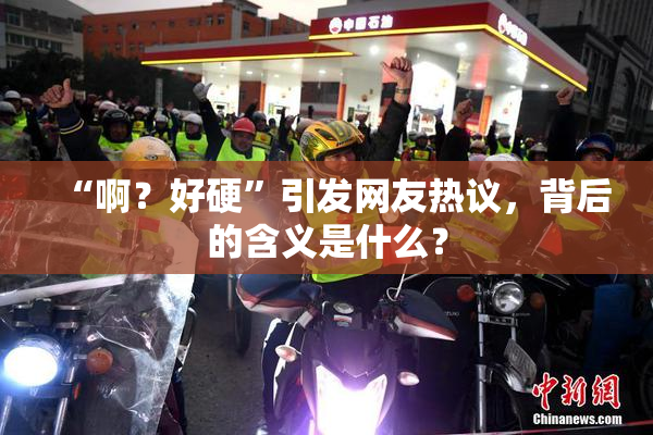 “啊？好硬”引发网友热议，背后的含义是什么？