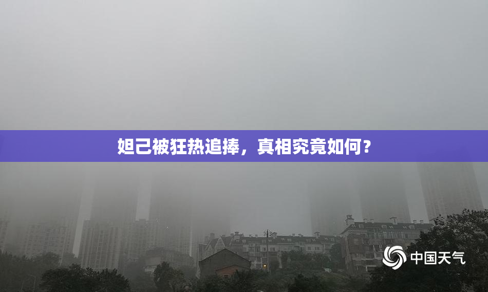 妲己被狂热追捧，真相究竟如何？