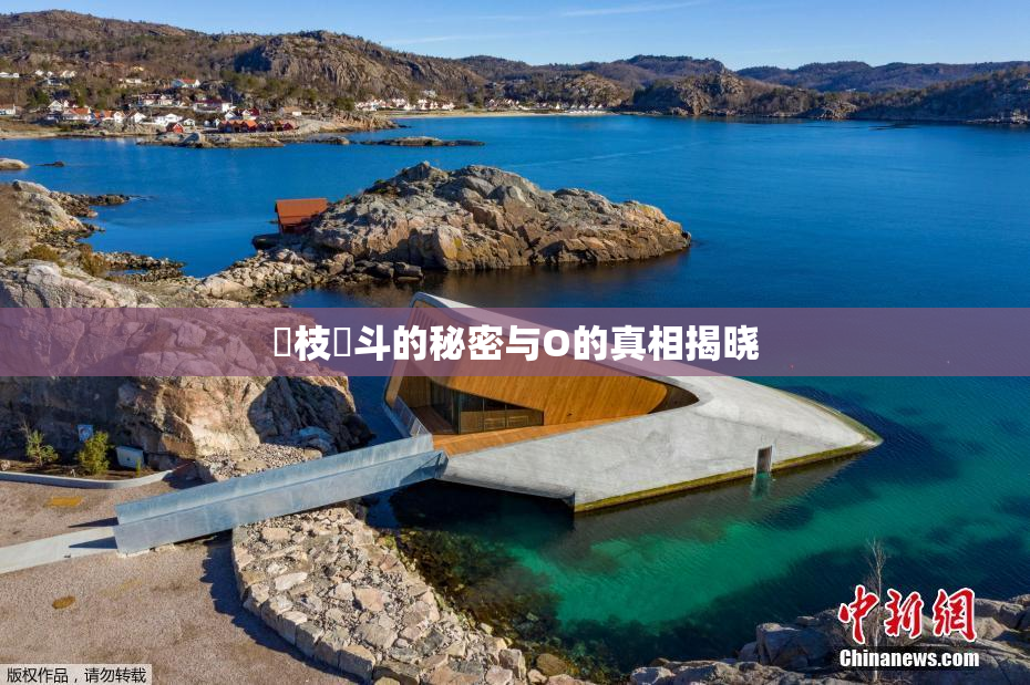 狛枝凪斗的秘密与O的真相揭晓