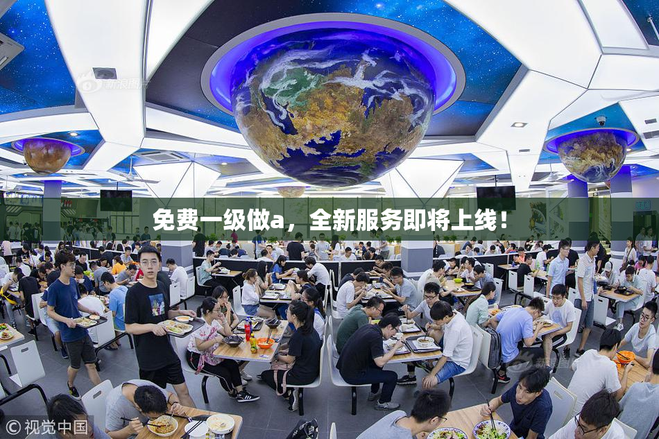 免费一级做a，全新服务即将上线！