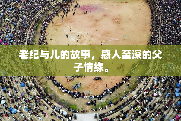 老纪与儿的故事，感人至深的父子情缘。