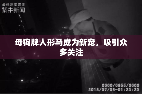 母狗牌人形马成为新宠，吸引众多关注