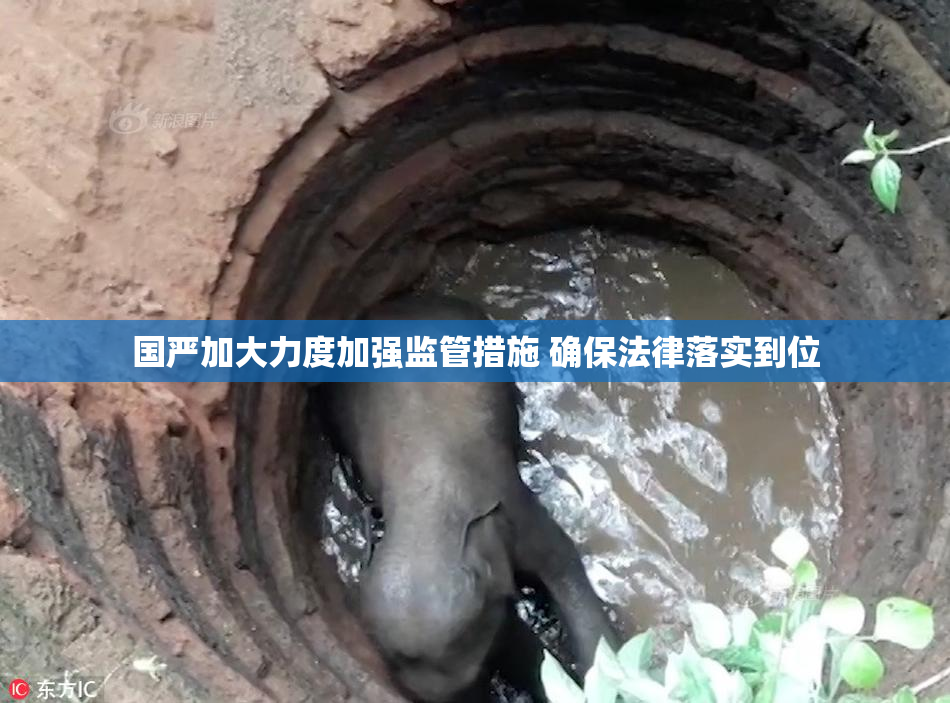 国严加大力度加强监管措施 确保法律落实到位