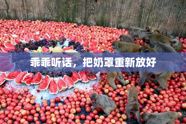 乖乖听话，把奶罩重新放好