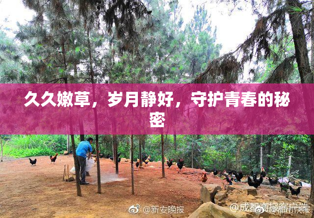 久久嫩草，岁月静好，守护青春的秘密