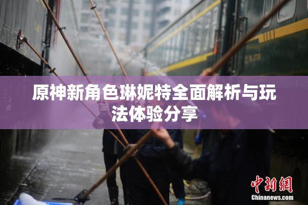 原神新角色琳妮特全面解析与玩法体验分享