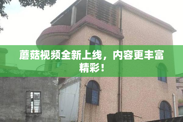 蘑菇视频全新上线，内容更丰富精彩！