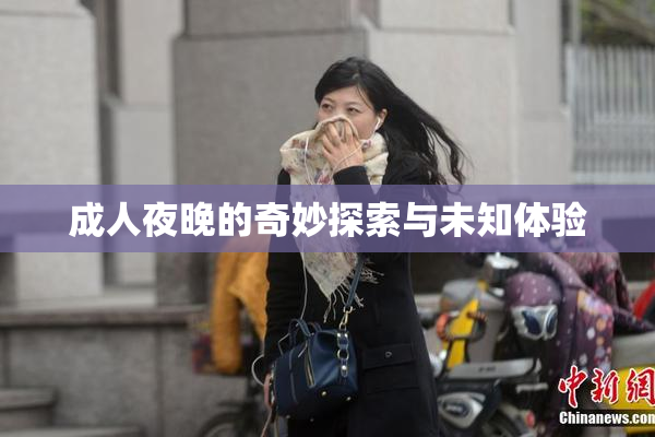 成人夜晚的奇妙探索与未知体验