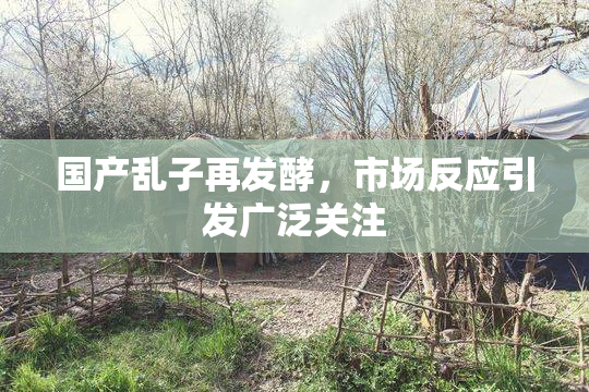 国产乱子再发酵，市场反应引发广泛关注