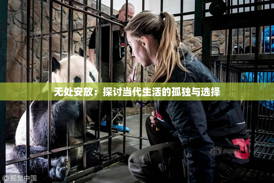 无处安放：探讨当代生活的孤独与选择