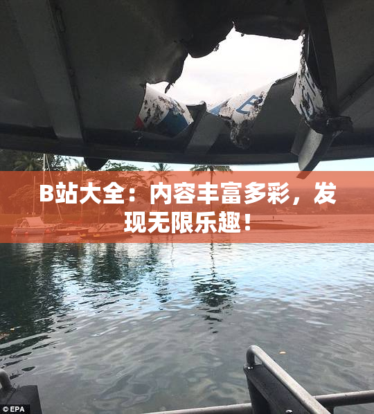 B站大全：内容丰富多彩，发现无限乐趣！