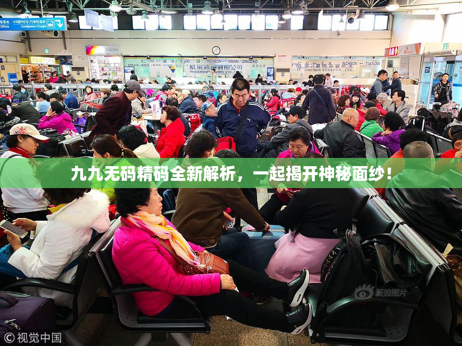 九九无码精码全新解析，一起揭开神秘面纱！