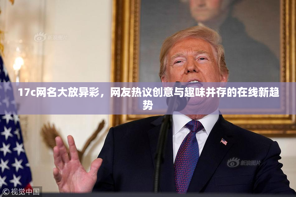 17c网名大放异彩，网友热议创意与趣味并存的在线新趋势