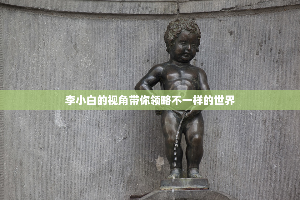 李小白的视角带你领略不一样的世界