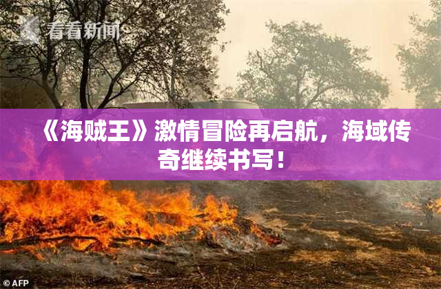 《海贼王》激情冒险再启航，海域传奇继续书写！