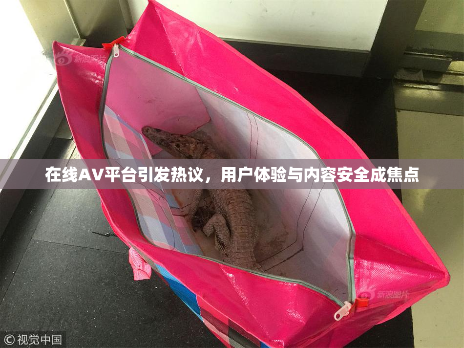 在线AV平台引发热议，用户体验与内容安全成焦点