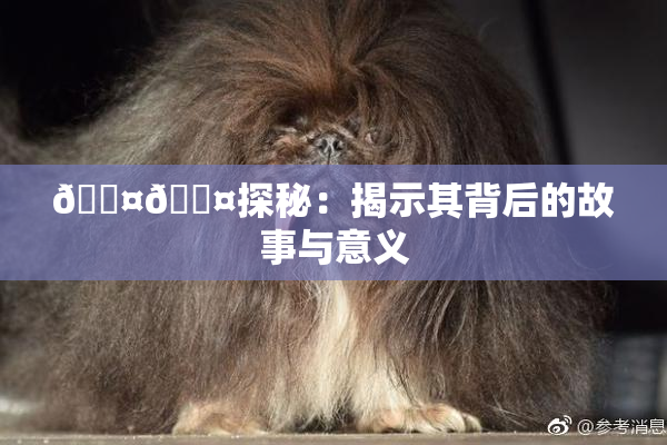 🐤🐤探秘：揭示其背后的故事与意义