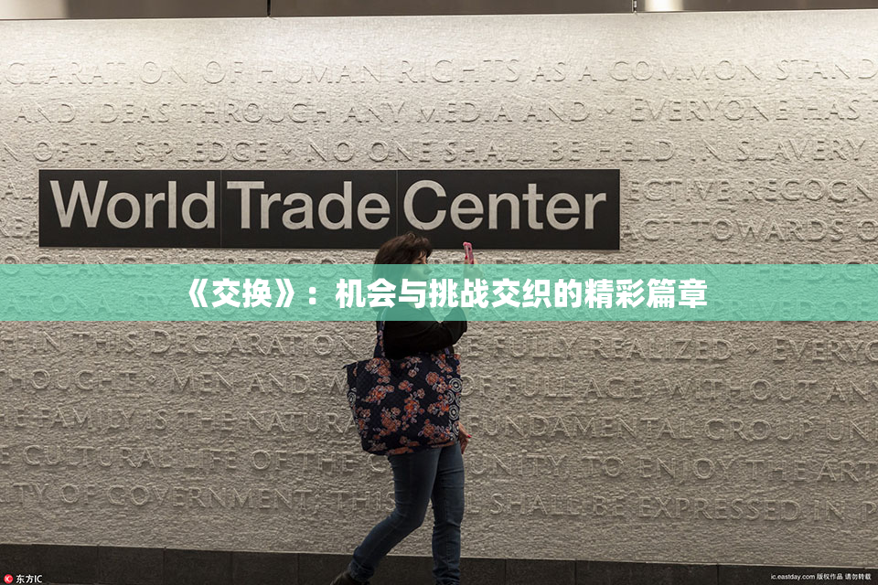 《交换》：机会与挑战交织的精彩篇章
