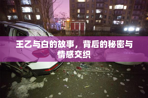 王乙与白的故事，背后的秘密与情感交织