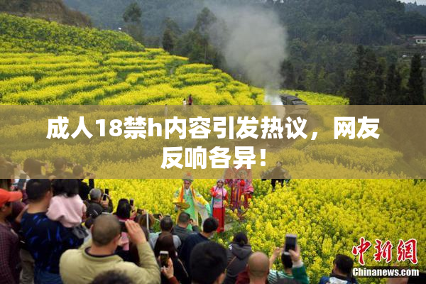 成人18禁h内容引发热议，网友反响各异！