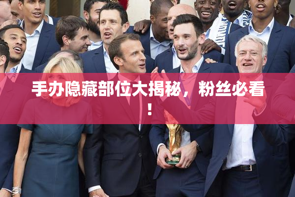 手办隐藏部位大揭秘，粉丝必看！