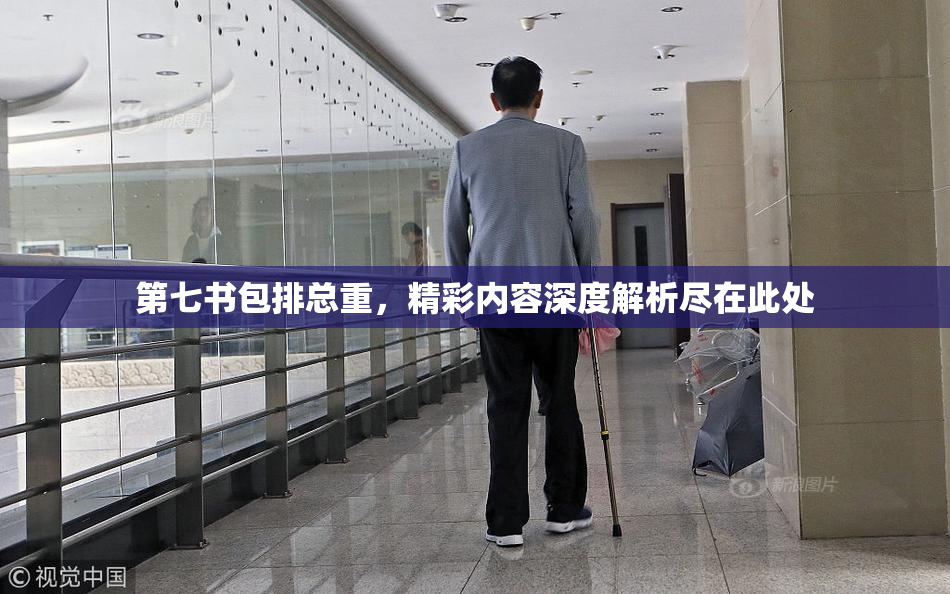 第七书包排总重，精彩内容深度解析尽在此处