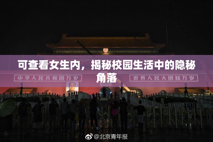可查看女生内，揭秘校园生活中的隐秘角落