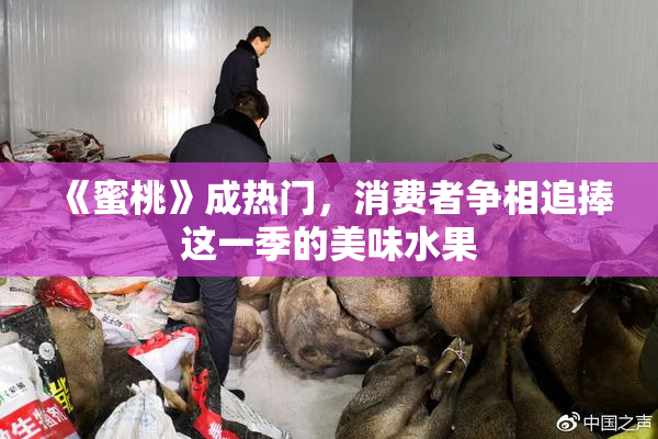 《蜜桃》成热门，消费者争相追捧这一季的美味水果